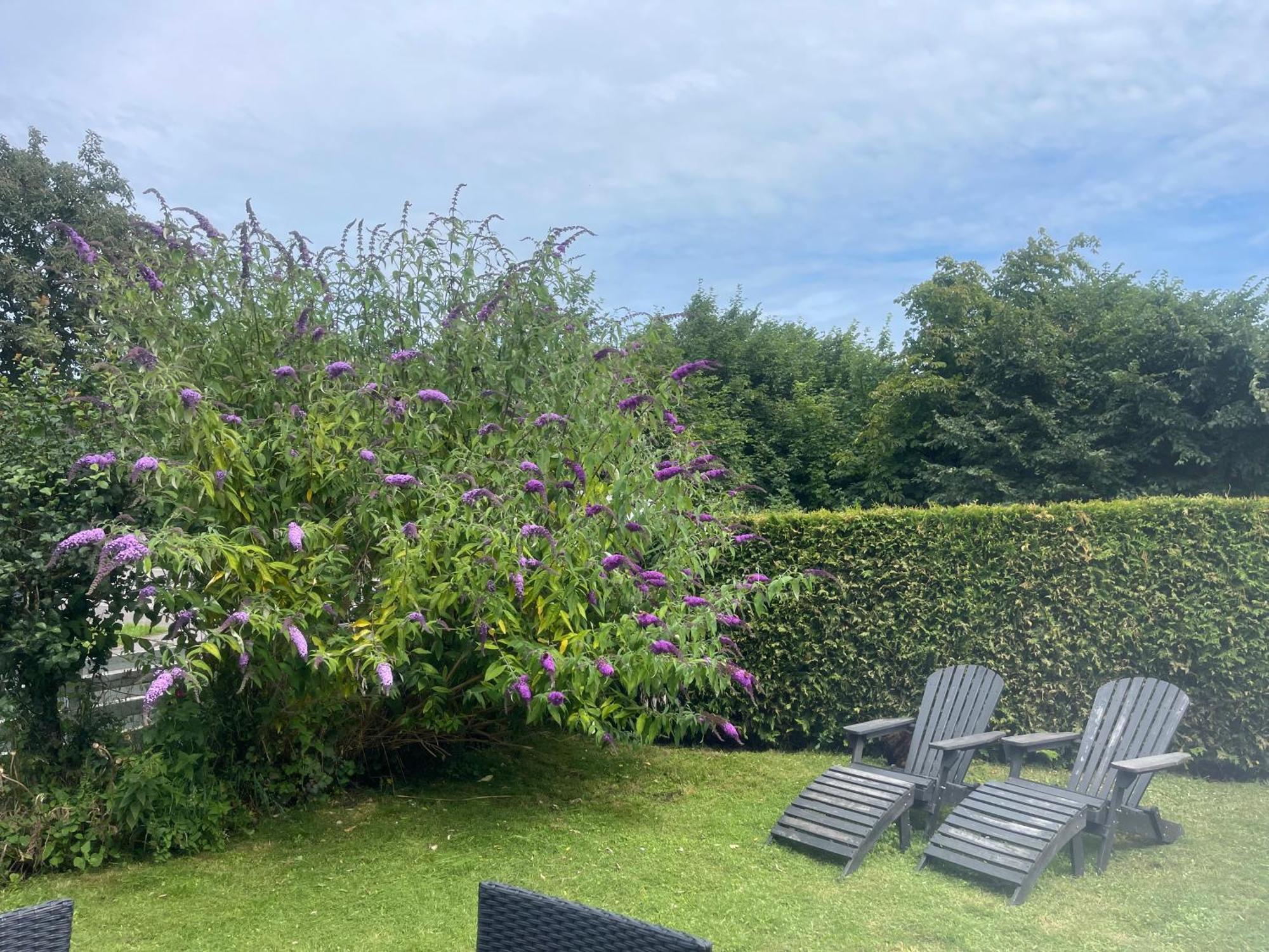 Heidis Residence-Sandkaas, Bornholm Allinge-Sandvig ภายนอก รูปภาพ